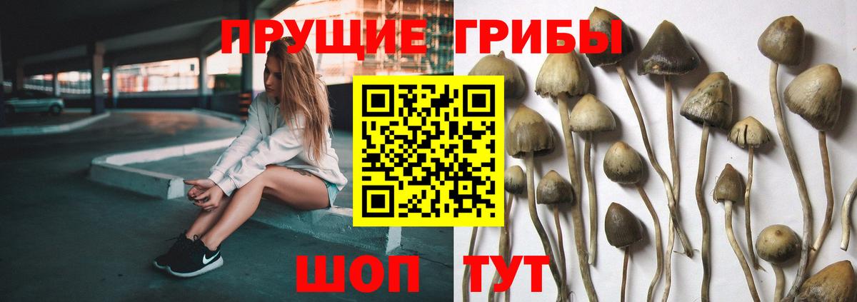 Псилоцибиновые грибы Psilocybe Радужный